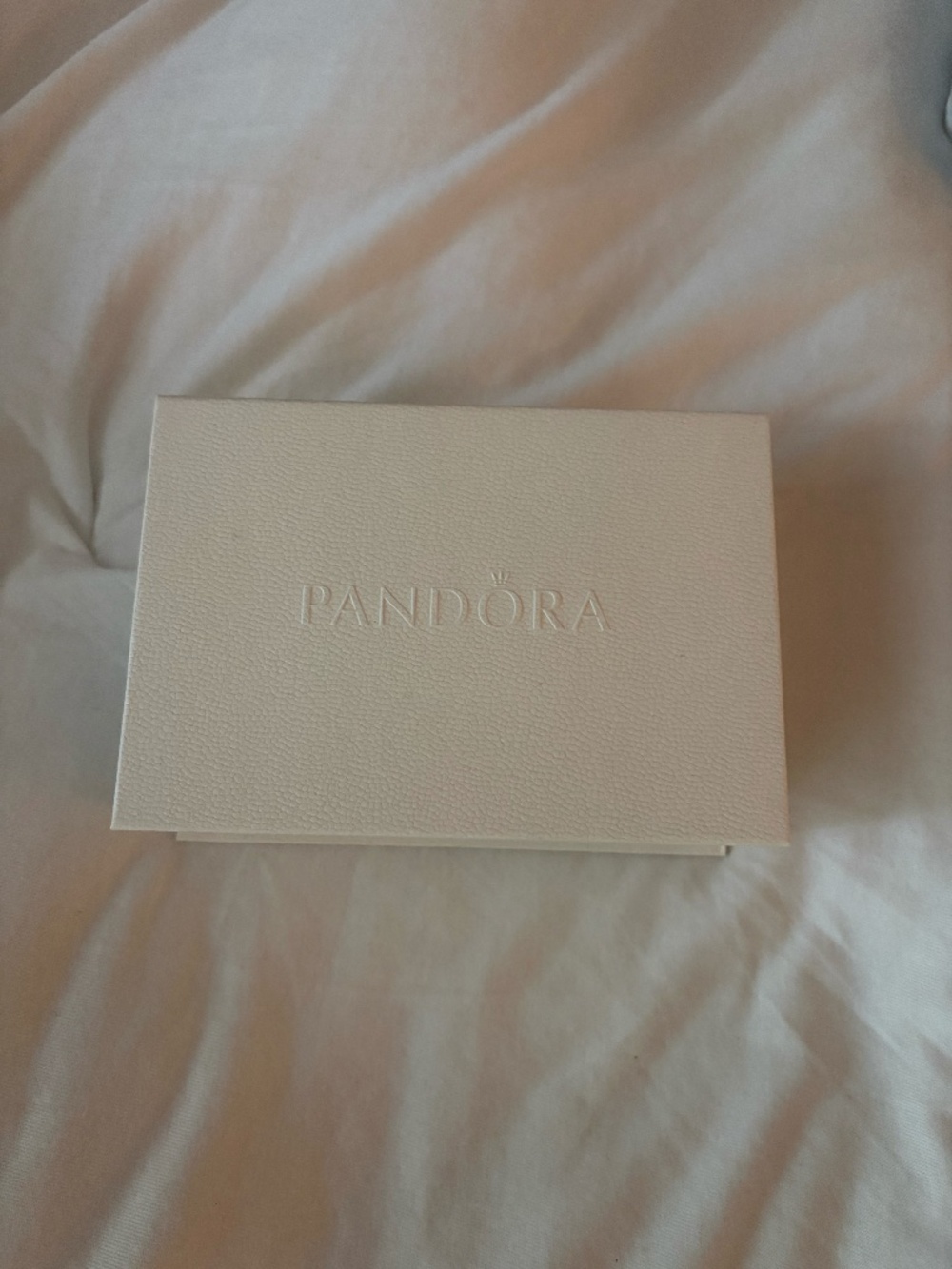 Pandora Cleaning Kit